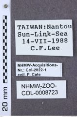 Etiketten zu Parapenia taiwana (NHMW-ZOO-COL-0008723)